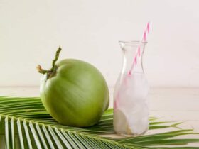Uống nước dừa có giảm cân không? Uống 1 trái dừa bao nhiêu calo?
