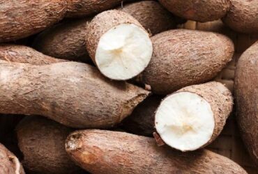 Mách Bạn Cách Làm Bánh Sắn Đậm Vị Tuổi Thơ