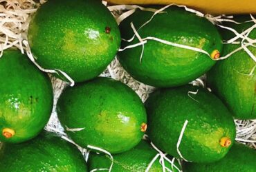 Hướng dẫn cách làm chè bơ thơm ngon, béo ngậy, giải nhiệt mùa hè