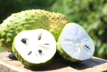 Hướng dẫn cách làm kem mãng cầu chua chua, thanh mát hấp dẫn
