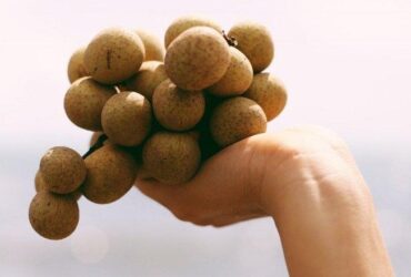 Cách làm kem nhãn tươi ngọt ngon đơn giản tại nhà