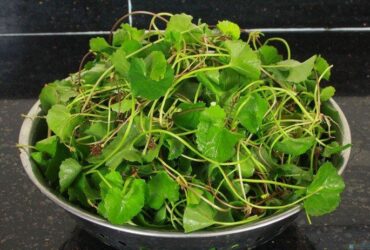 Học ngay 4 Cách làm nộm rau má ngon mát chống ngán hiệu quả