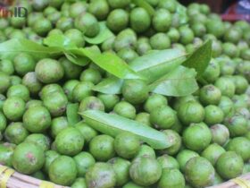 Mách bạn cách ngâm sấu đường giòn ngon đúng vị, không bị nổi váng