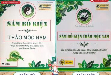 Sâm Bổ Kiện Thảo Mộc Nam Hỗ Trợ Tăng Cân | Hộp 40 Viên