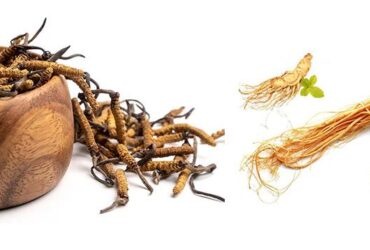 Nước đông trùng hạ thảo Hector Sâm bổ sung sức khỏe, tăng cường miễn dịch 10 chai x 50ml