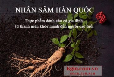 8 Tác Dụng Của Nhân Sâm Với Phụ Nữ Khiến Chị Em Mê Đắm